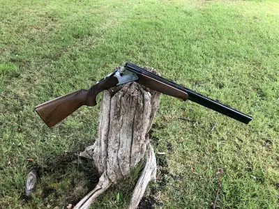 Gun Image 2
