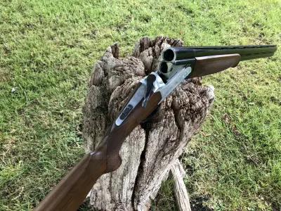 Gun Image 4