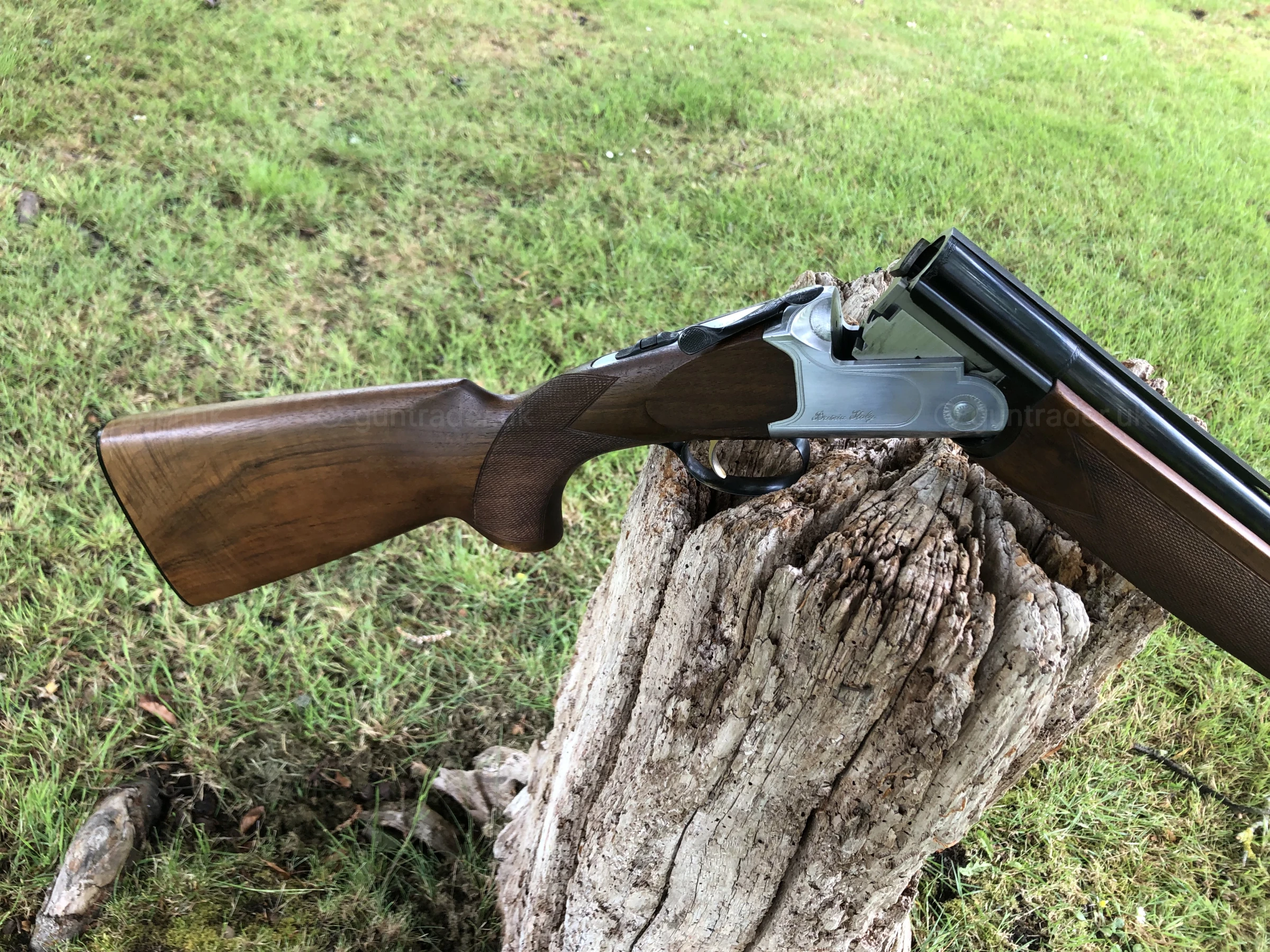 Photo of this gun