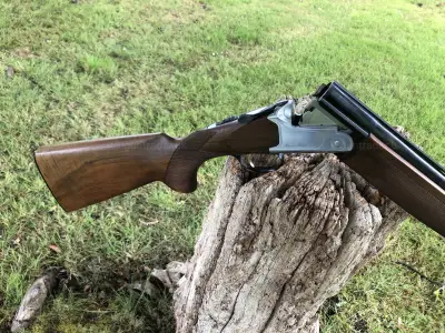 Gun Image 3