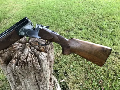 Gun Image 1
