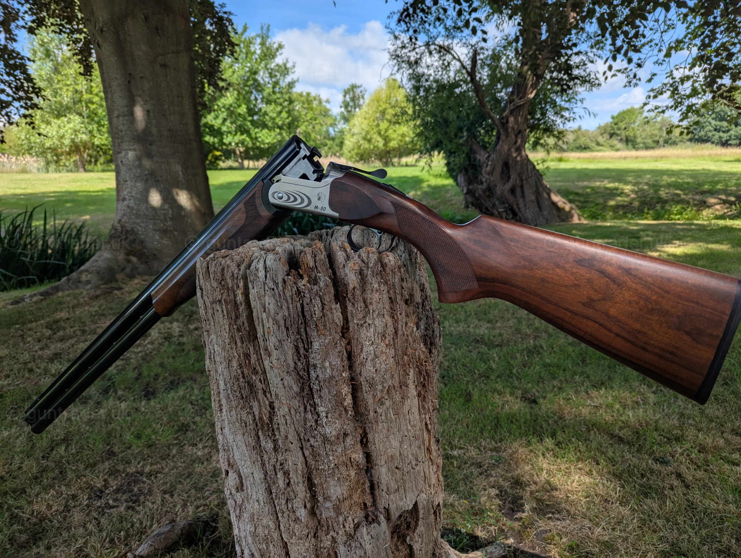 Photo of this gun