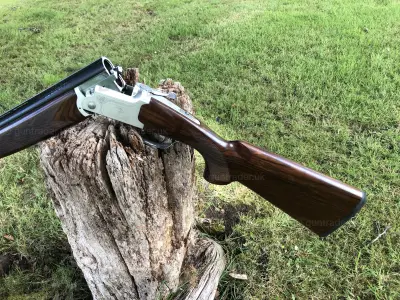 Gun Image 6