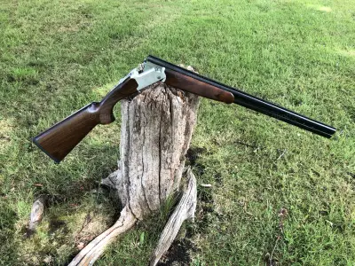 Gun Image 2