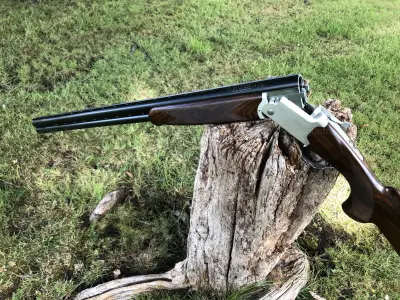 Gun Image 3