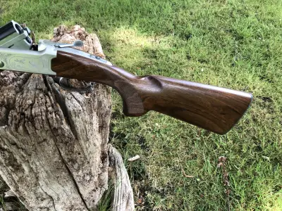 Gun Image 3