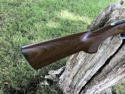 Gun Image 4