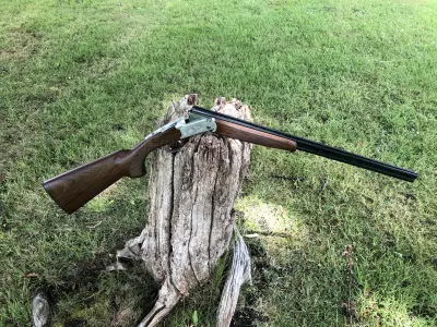 Gun Image 6