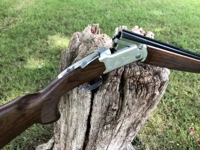 Gun Image 2