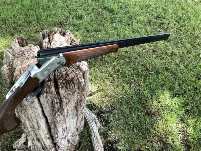 Gun Image 5