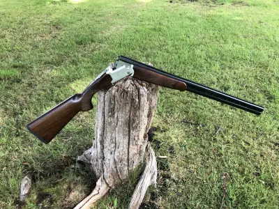 Gun Image 3