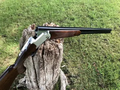 Gun Image 6