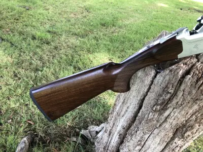 Gun Image 2