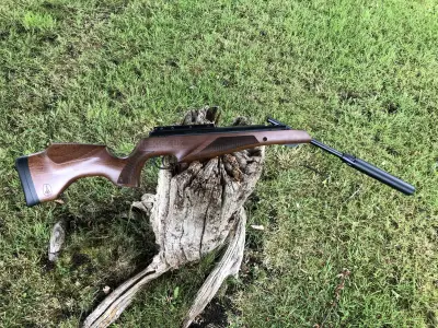 Gun Image 2