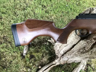 Gun Image 1