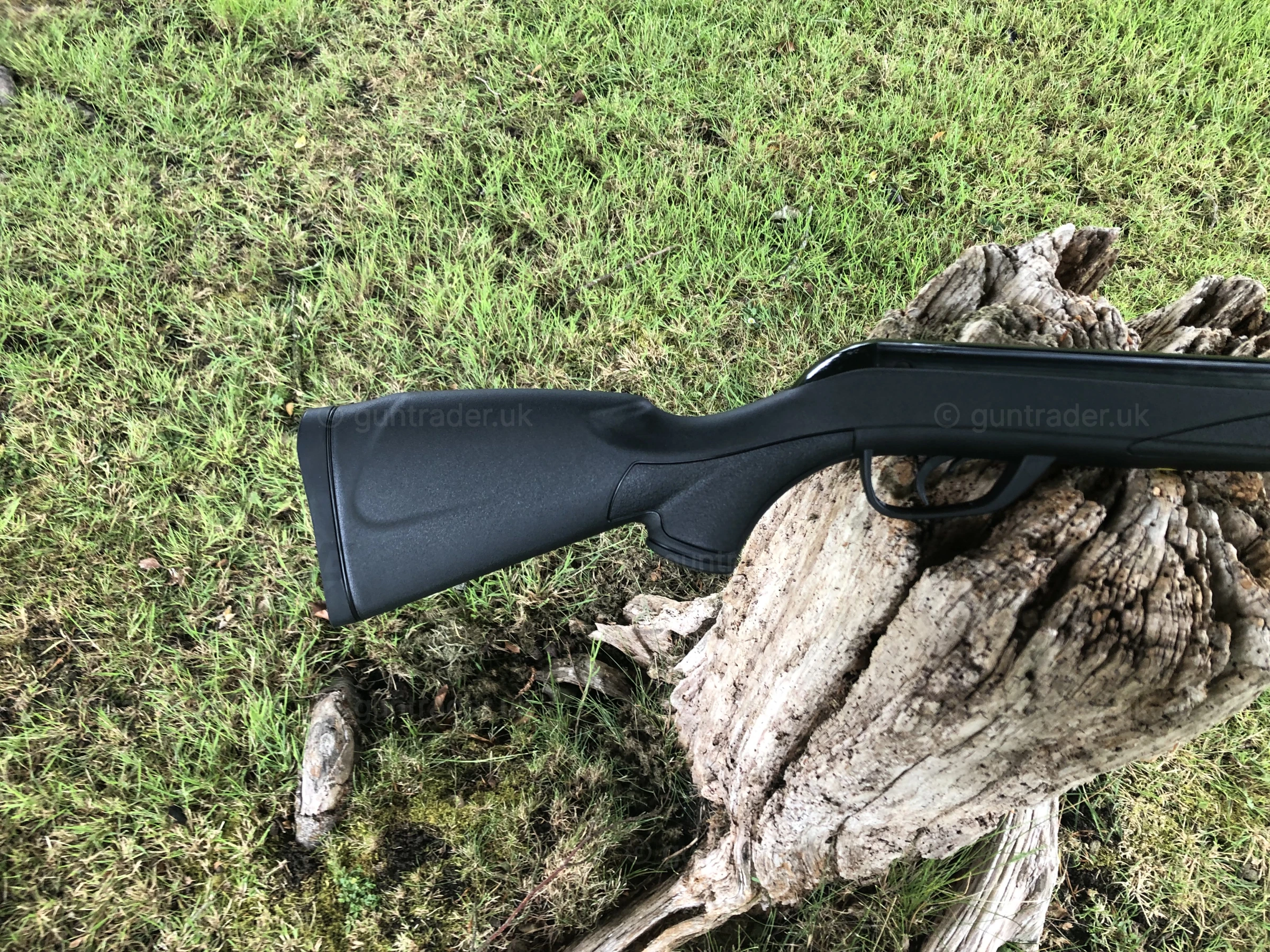 Photo of this gun
