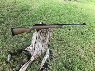Gun Image 3