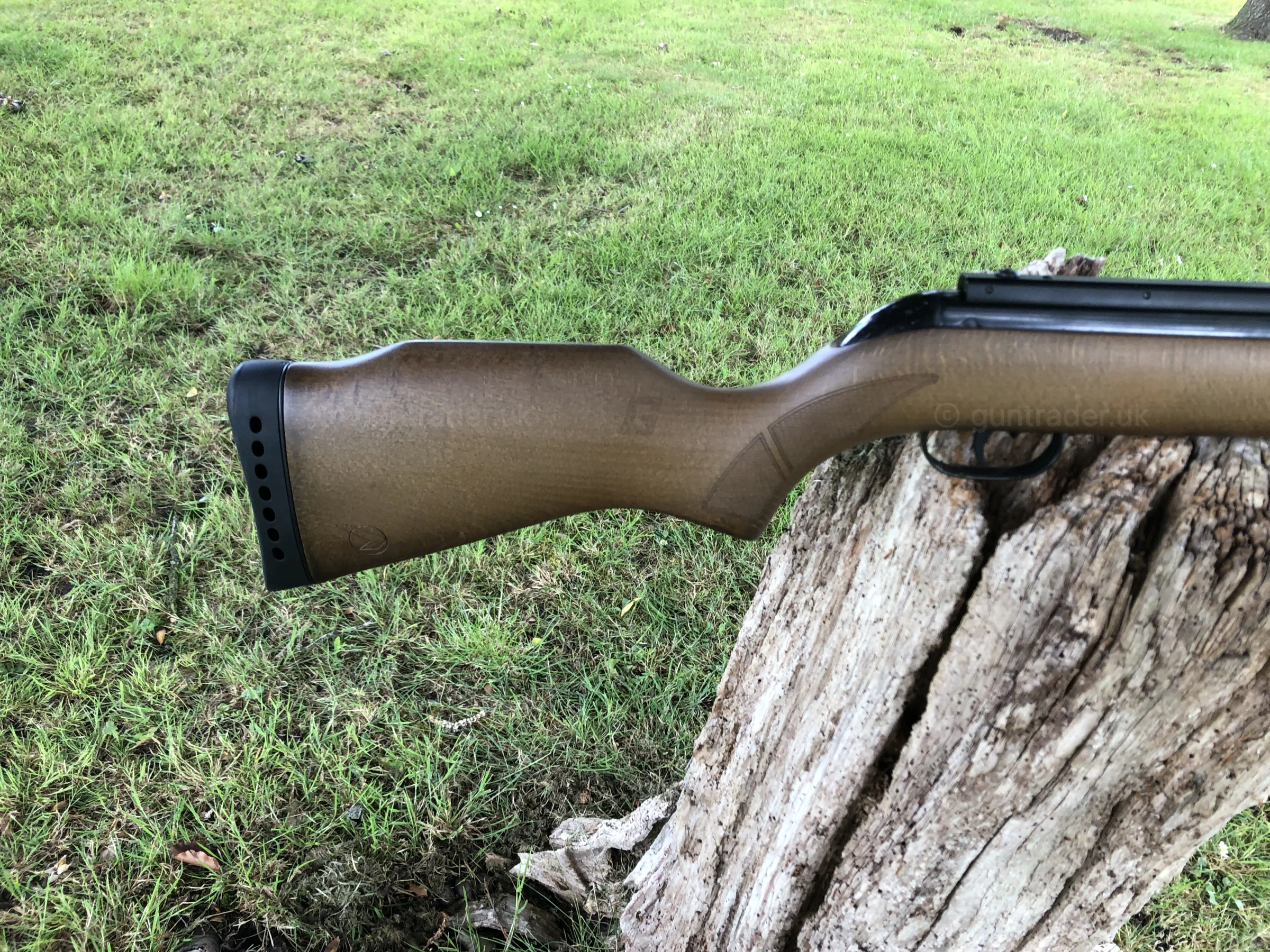 Photo of this gun