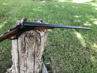 Gun Image 4