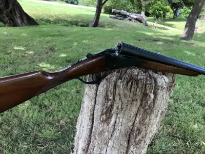 Gun Image 1