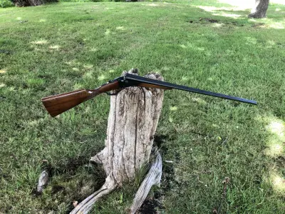 Gun Image 2