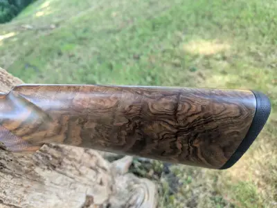 Gun Image 1