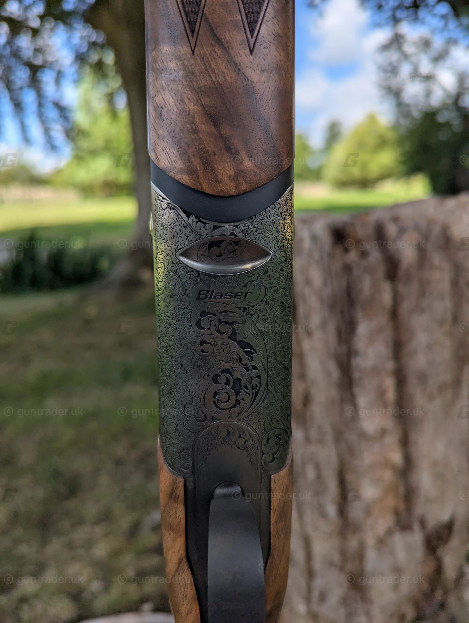 Photo of this gun