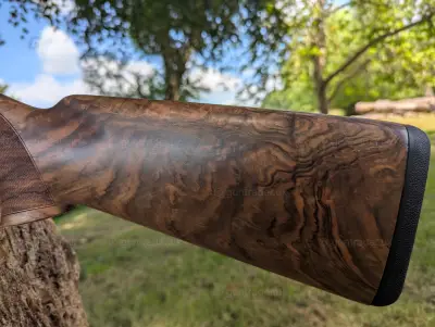 Gun Image 2