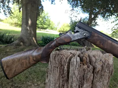 Gun Image 4
