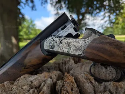 Gun Image 1
