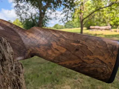 Gun Image 4