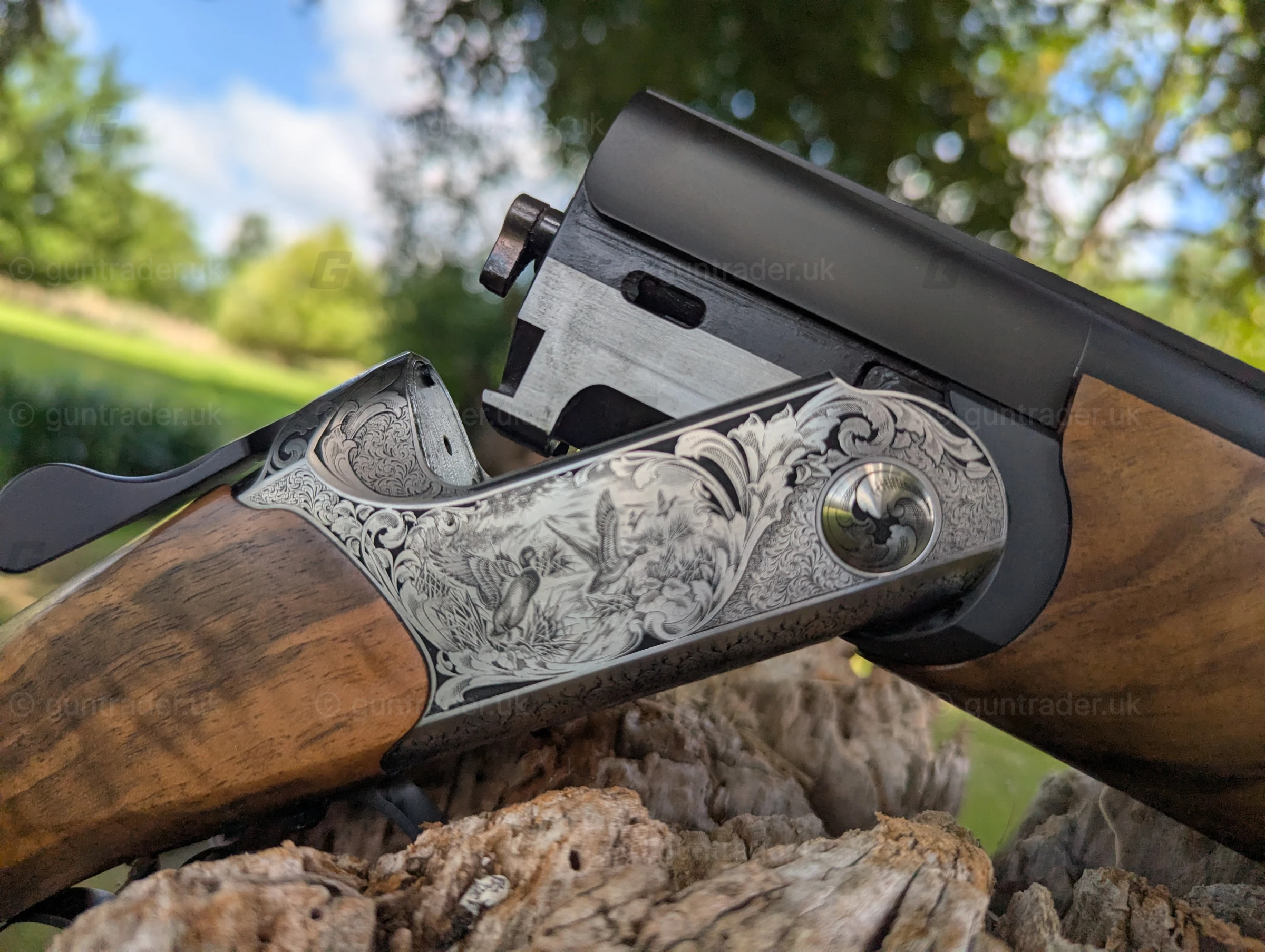 Photo of this gun