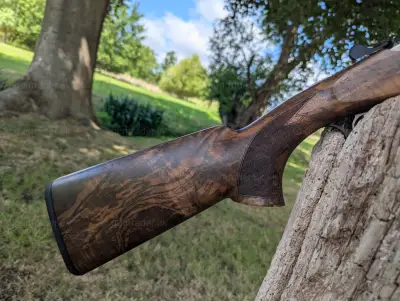 Gun Image 5