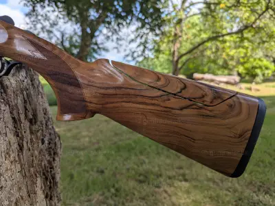Gun Image 2