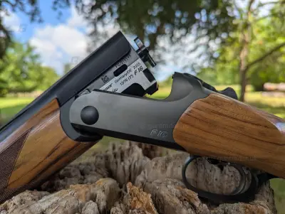 Gun Image 1