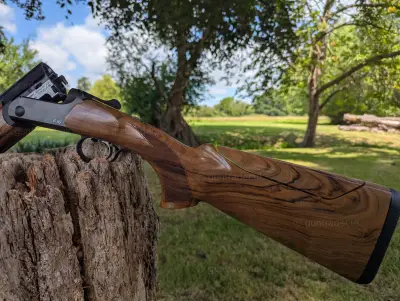 Gun Image 3