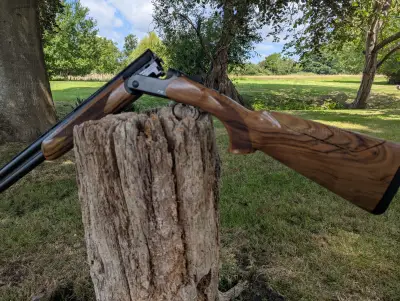 Gun Image 4