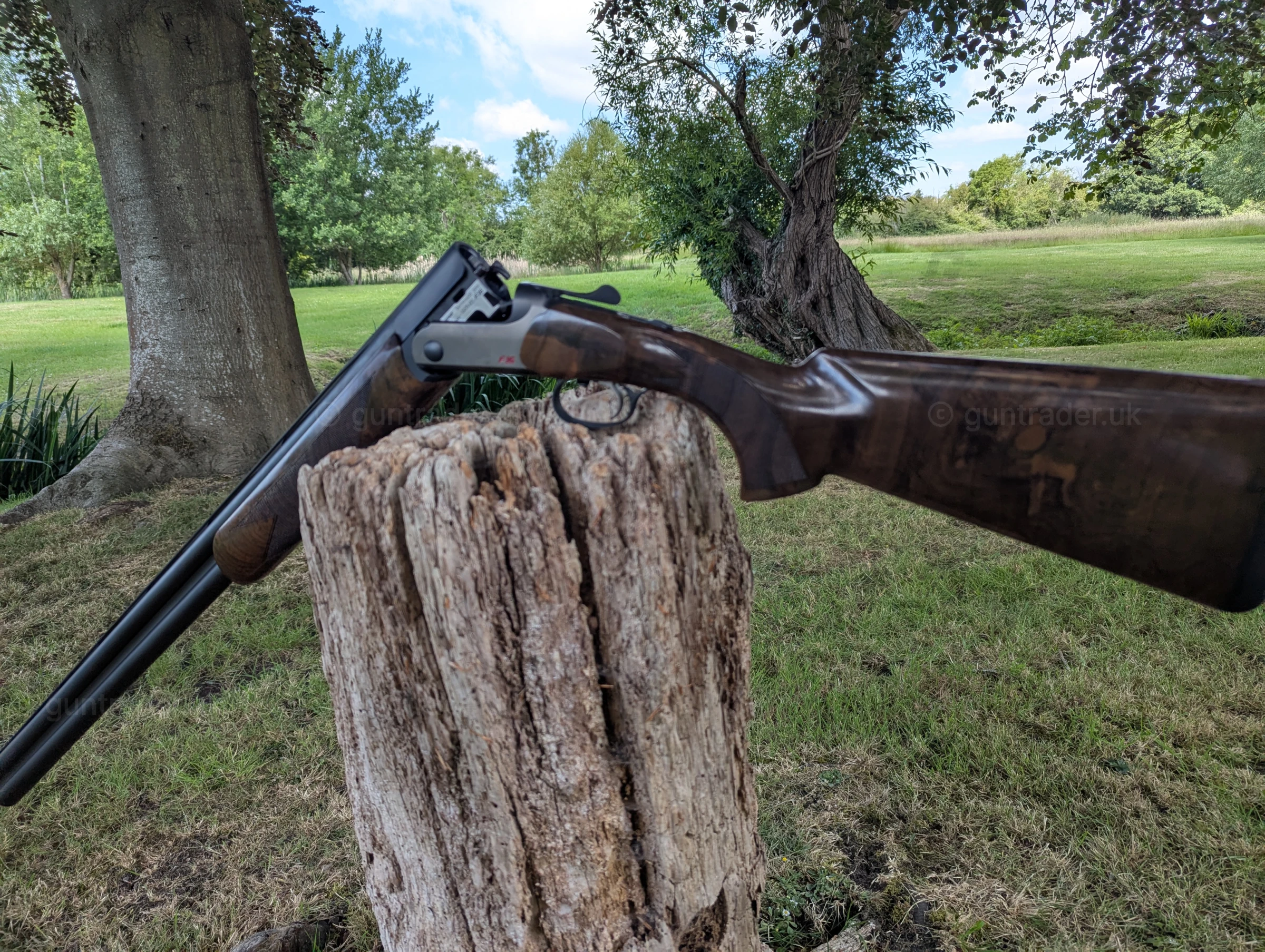 Photo of this gun