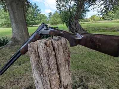 Gun Image 4