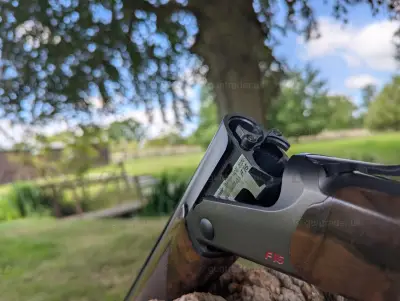 Gun Image 1