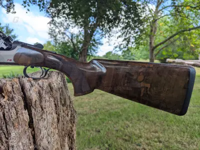 Gun Image 3