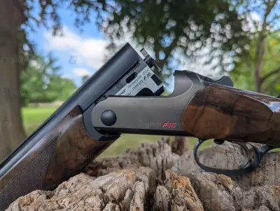 Gun Image 2