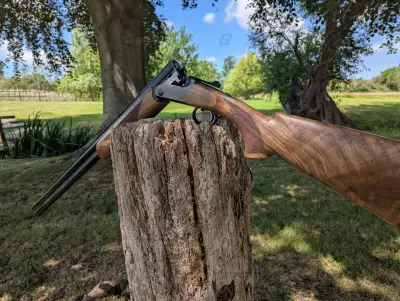 Gun Image 2