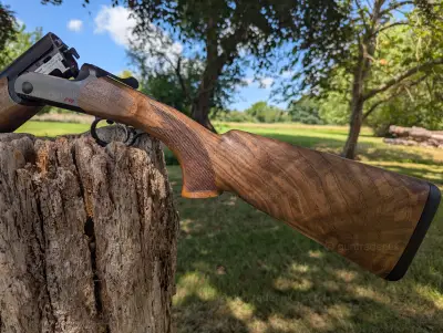 Gun Image 1