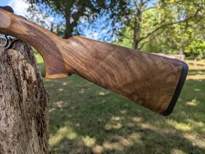 Gun Image 3