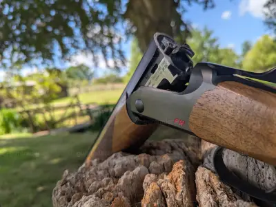 Gun Image 4