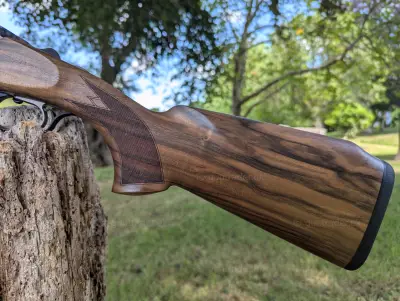 Gun Image 2