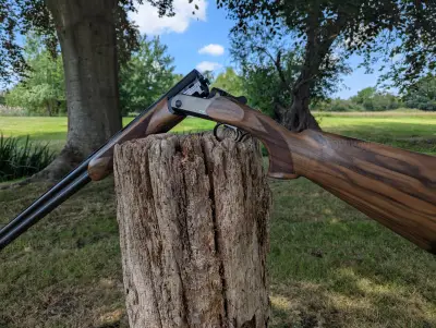 Gun Image 3