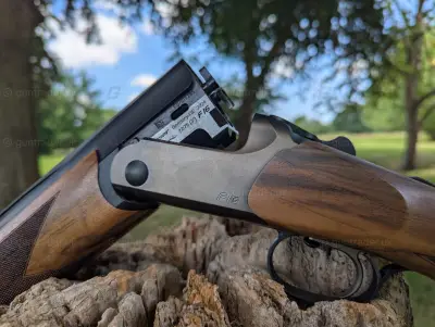 Gun Image 1