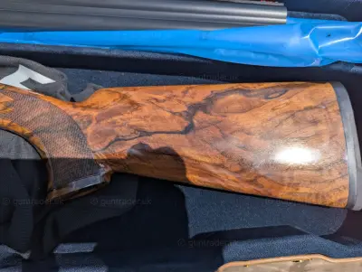 Gun Image 2